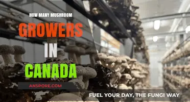 Exploring Canada's Thriving Mushroom Industry: Growers and Their Impact