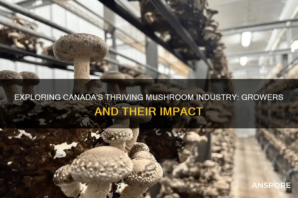 how many mushroom growers in canada