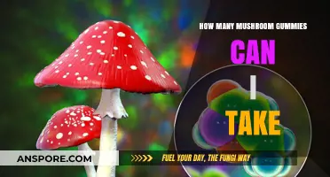 Safe Mushroom Gummies Dosage: How Many Can You Take Daily?