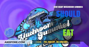 Finding Your Perfect Dose: Mushroom Gummies Serving Size Guide