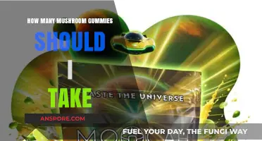 Exploring Mushroom Gummies: Dosage Recommendations