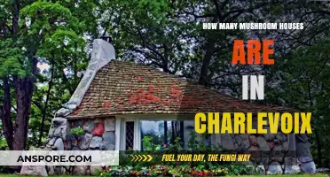 Mushroom Houses of Charlevoix: A Unique Sightseeing Adventure