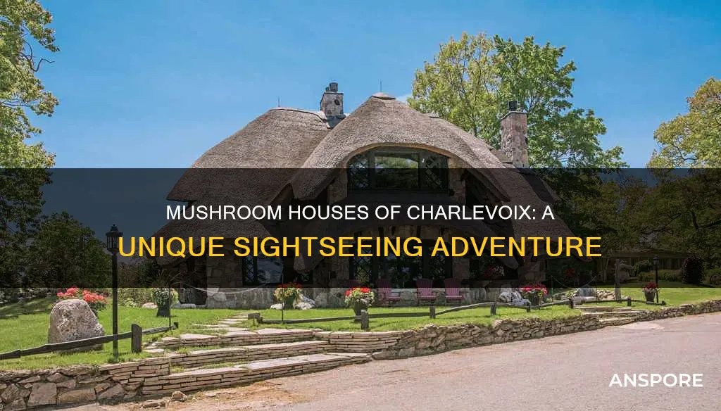 how many mushroom houses are in charlevoix