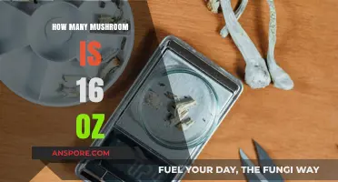 Mushroom Weight Guide: Understanding 16 Ounces