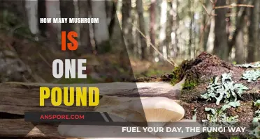 Mushroom Weight: How Many Make a Pound?