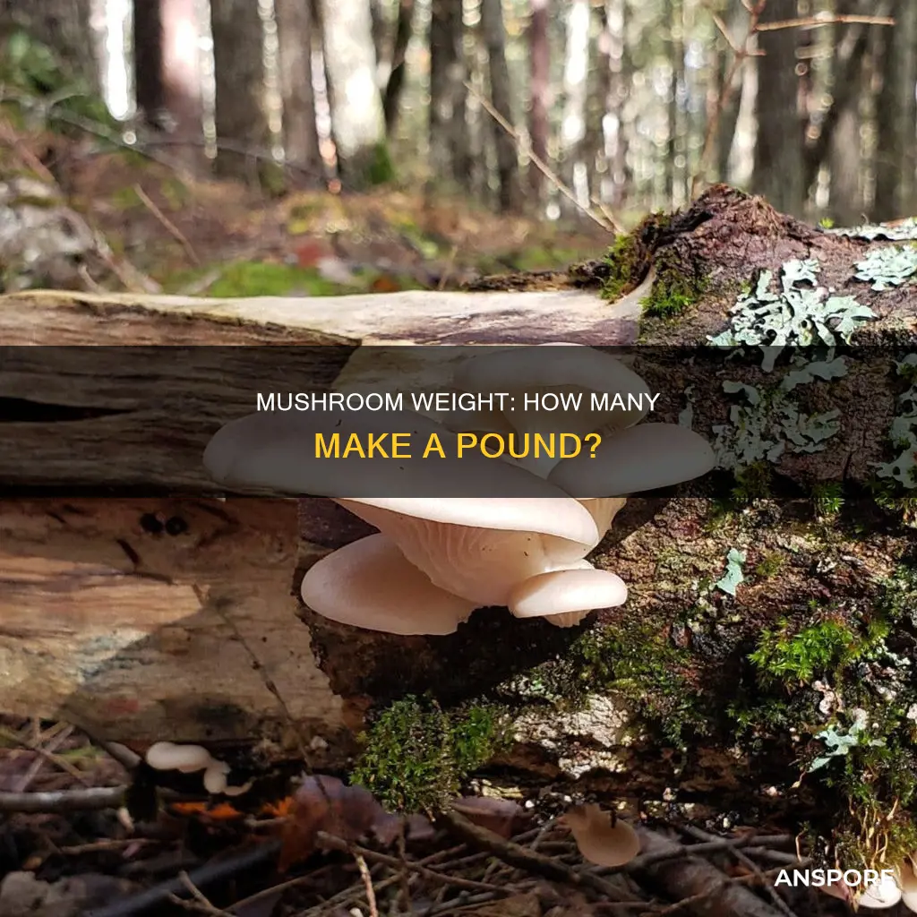 how many mushroom is one pound