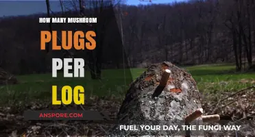 Mushroom Plugs and Logs: How Many Plugs are Needed?