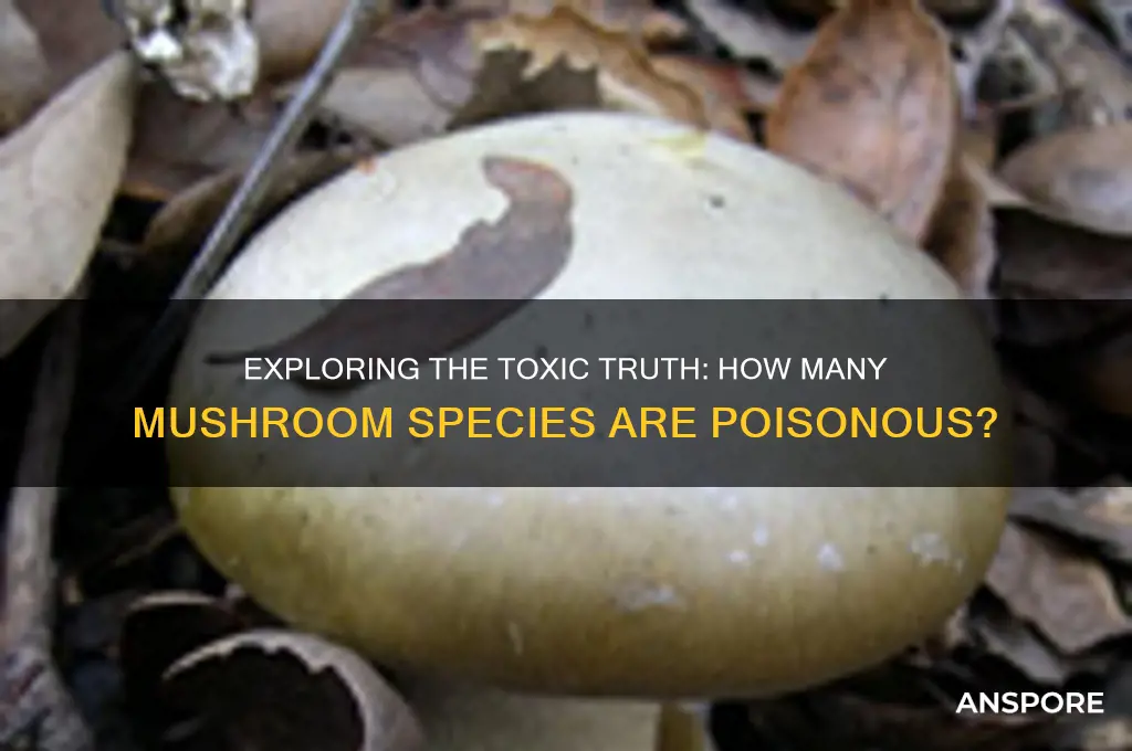 how many mushroom species are poisonous