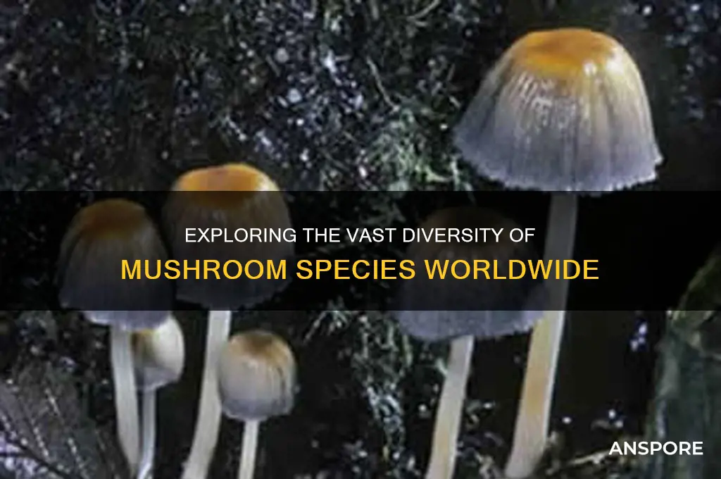 how many mushroom species are there