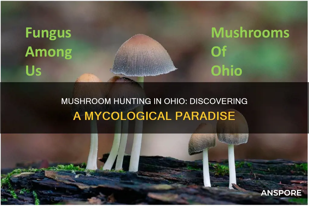 how many mushroom species in ohio