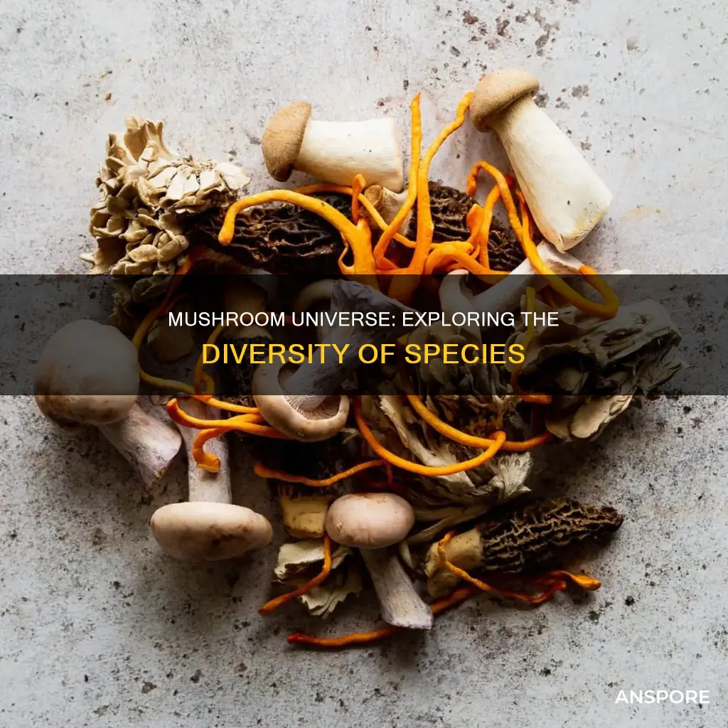 how many mushroom species
