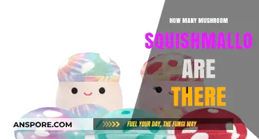 Mushroom Squishmallows: A Huge Collection to Discover