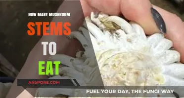 Safe Mushroom Consumption: How Many Stems Can You Eat?