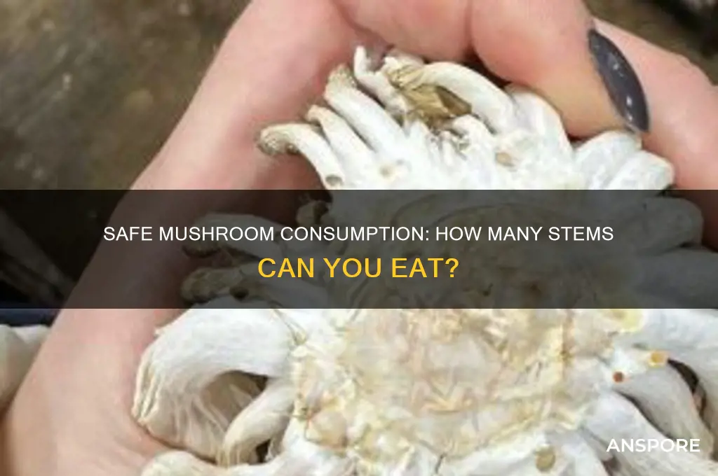 how many mushroom stems to eat