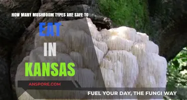 Exploring Edible Mushrooms: Kansas' Safe-to-Eat Varieties Revealed