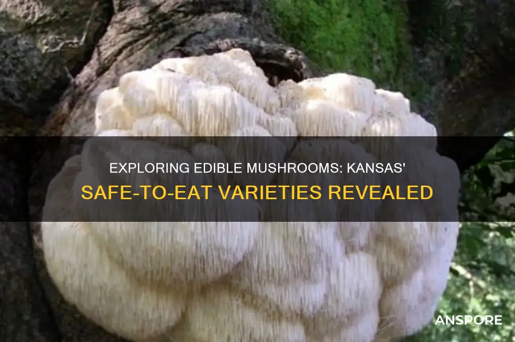 how many mushroom types are safe to eat in kansas