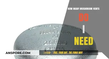 Ventilation for Mushroom Cultivation: How Many Vents are Needed?