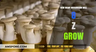 Maximizing Mushroom Yield: How Much Can 8 Z Produce?