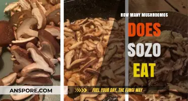 How Many Mushroomos Does Sozo Eat? A Tasty Tally