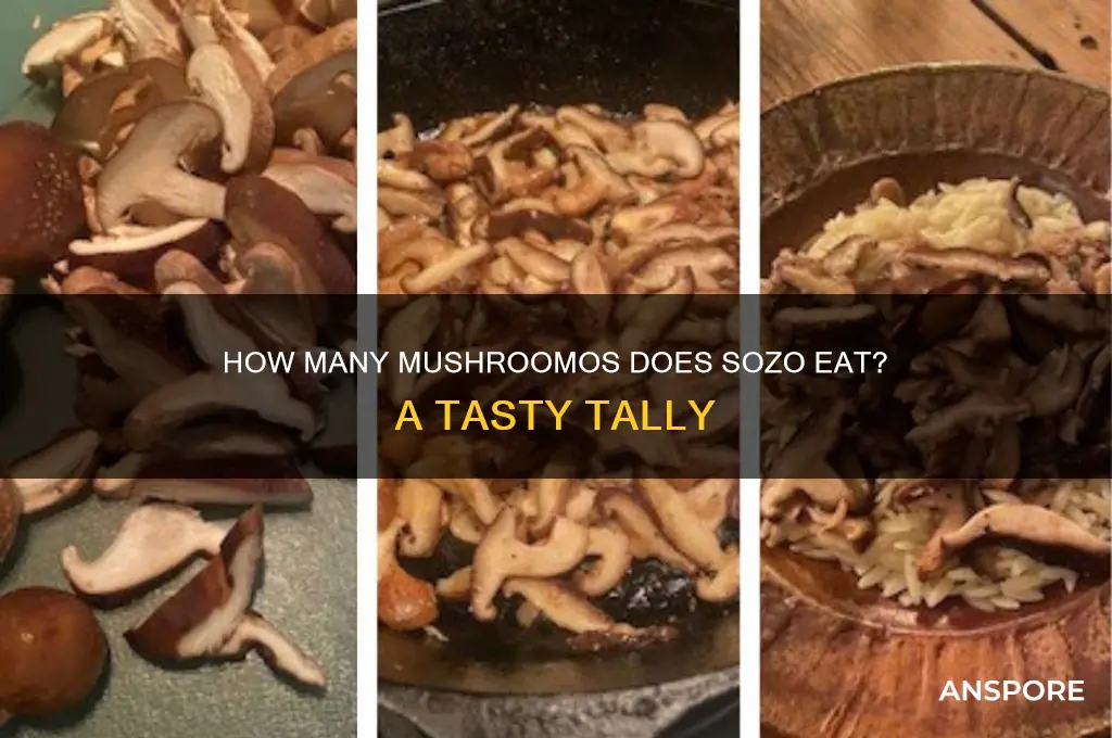 how many mushroomos does sozo eat