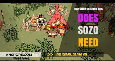 Hunting for Mushrooms: Sozo's Magical Quest