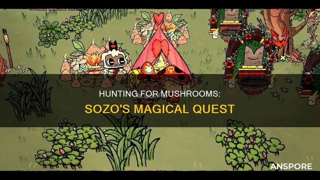 how many mushroomos does sozo need