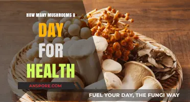 Mushrooms Daily: The Optimal Amount for Health Benefits
