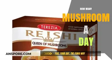 Mushroom Consumption: Daily Allowance and Benefits