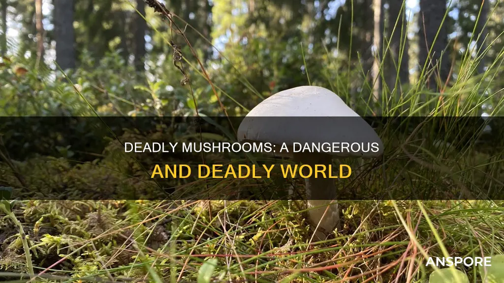 how many mushrooms are deadly
