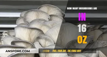 Mushroom Portion Control: 16 Oz of Mushrooms