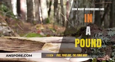 Mushroom Measurement Guide: How Many Mushrooms Are in a Pound?