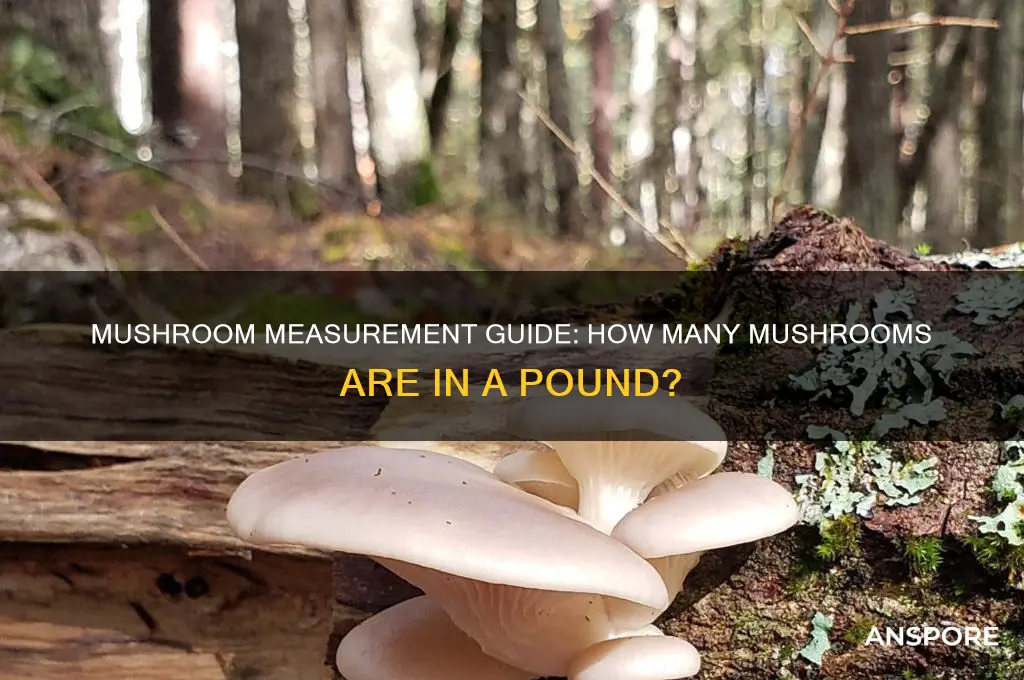 how many mushrooms are in a pound