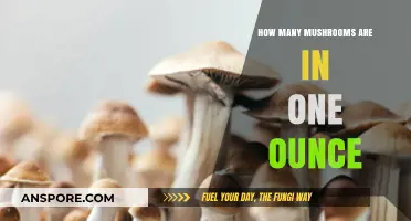 Weighing Up Your Mushroom Portions