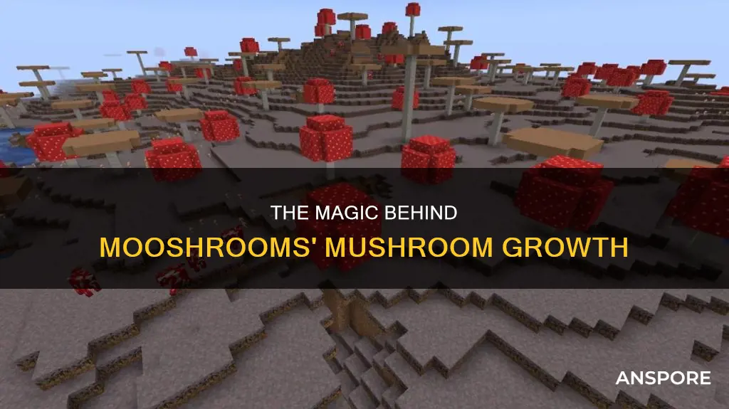 how many mushrooms are on a mooshroom