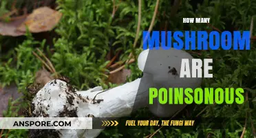 Mushroom Mystery: How Many Are Poisonous?