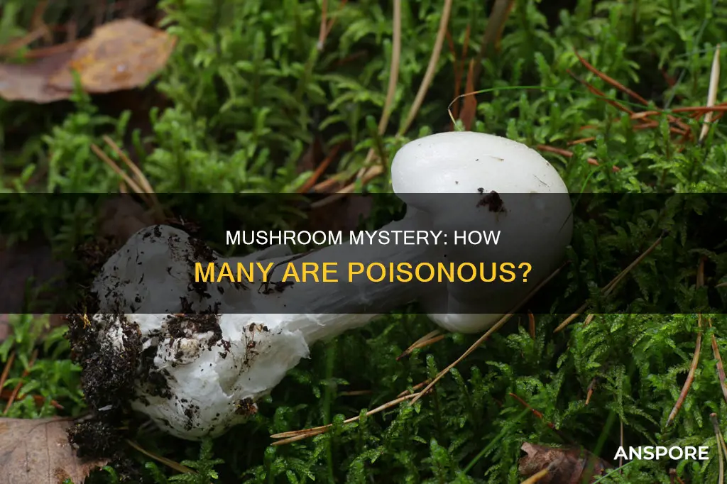 how many mushrooms are poinsonous