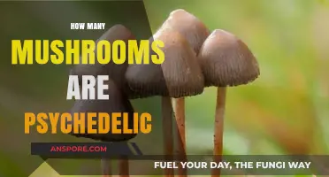 Psychedelic Mushrooms: How Many Types Are There?