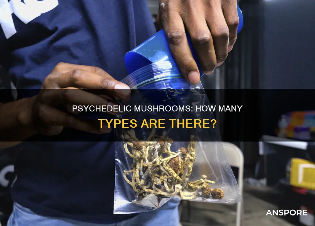 how many mushrooms are psychedelic