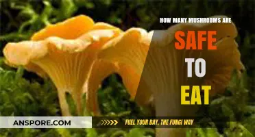 Safe Mushroom Consumption: How Many Can You Eat Without Risk?