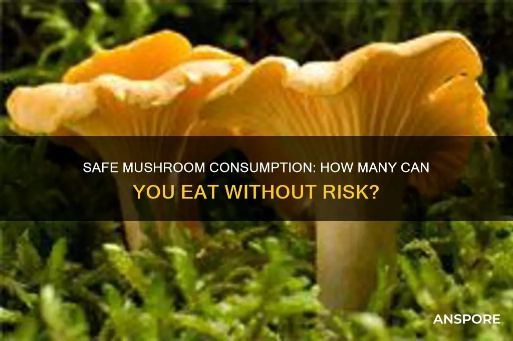 how many mushrooms are safe to eat