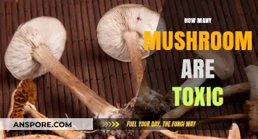 Mushrooms: A Toxic Foray