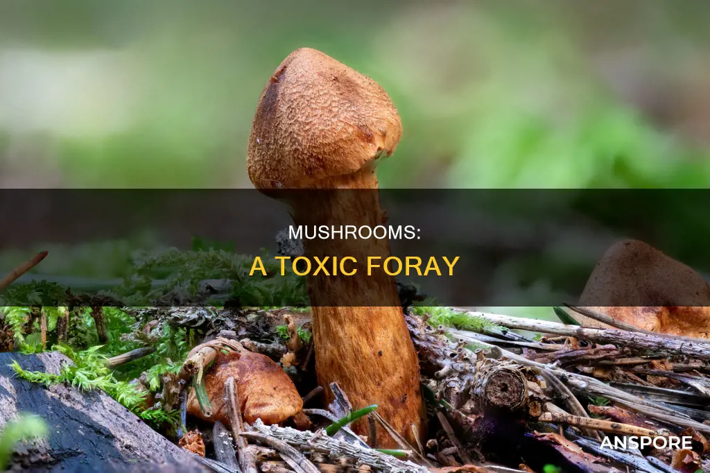 how many mushrooms are toxic
