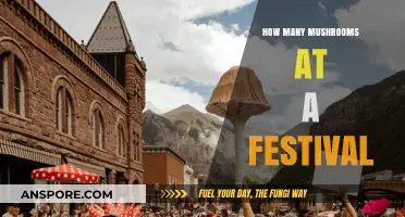 Mushroom Festival Fun: How Many Capsules of Joy?