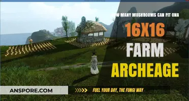 Maximizing Mushroom Yield on a 16x16 ArcheAge Farm Plot