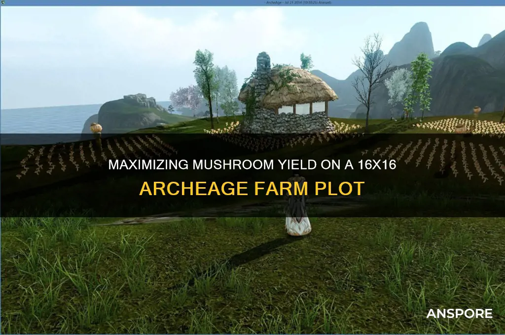 how many mushrooms can fit ona 16x16 farm archeage