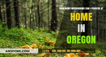 Oregon's Mushroom Possession Limits: What You Can Legally Keep at Home