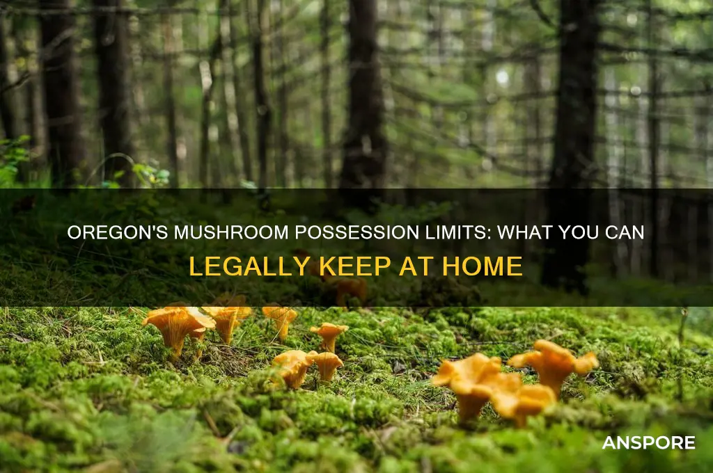 how many mushrooms can i possess at home in oregon