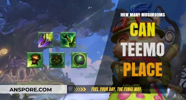 Maximizing Teemo's Mushroom Placement: Strategies and Limits Explained