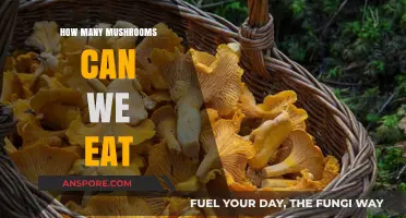 Exploring Edible Mushrooms: Safe Consumption Limits and Varieties