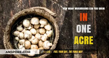 Maximizing Mushroom Yield: How Many Can One Acre Sustain?